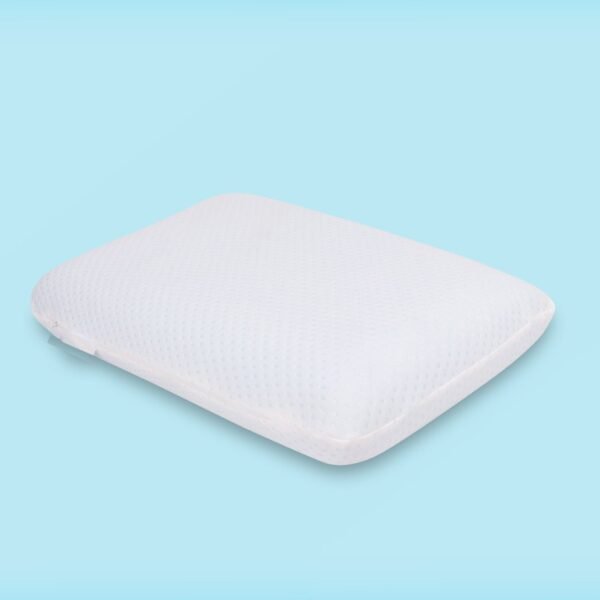 CLASSIC PILLOW